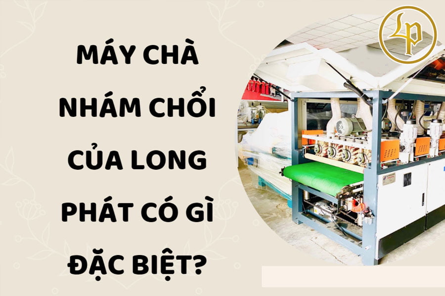 may-cha-nham-choi-tai-long-phat-co-gi-dac-biet