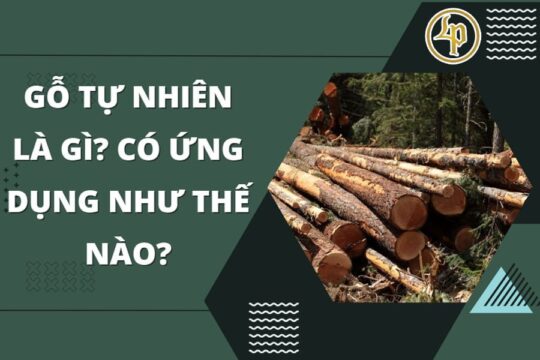 go tu nhien la gi